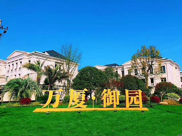 1561432900151257.jpg 11.jpg